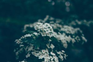کد پیشواز حافظ نجفی دات ای ار